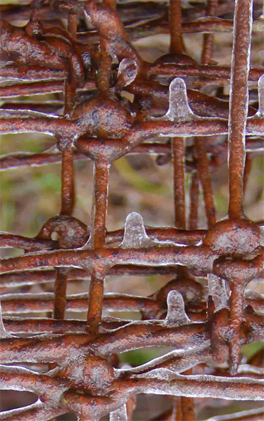 Art Exhibition ICE
